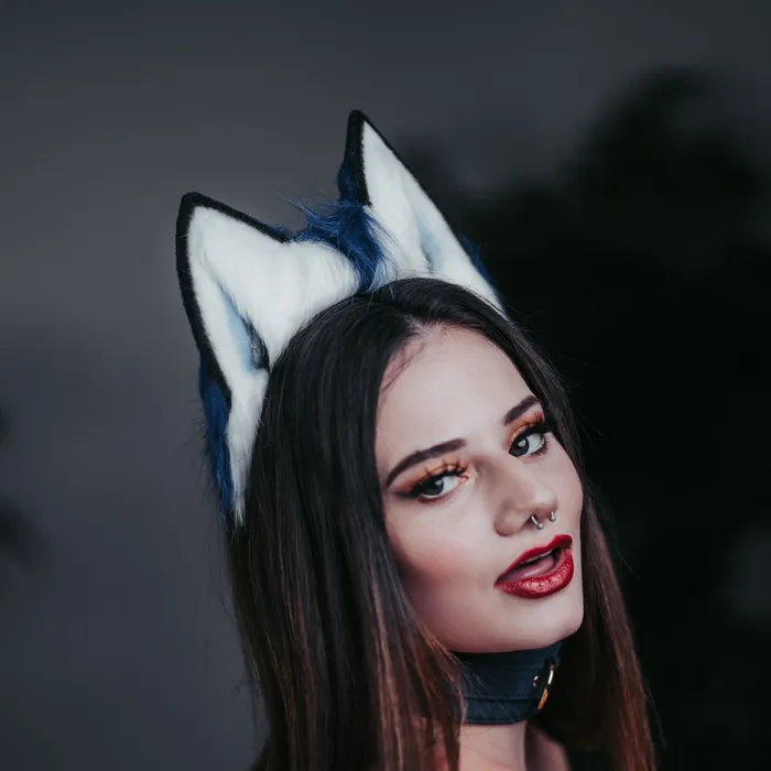 Anal Indulge Cobalt Blue Foxtail Butt Plug Set
