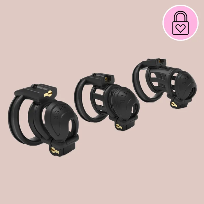 House of Chastity The Slaver Double Lock Chastity Cage Male Sex Toys