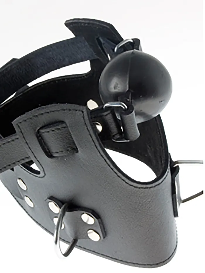 HonourSkintwocom Male Sex Toys Leather 3D Ring Collar with Detachable Ball Gag HonourSkintwocom Male Sex Toys Leather 3D Ring Collar with Detachable Ball Gag