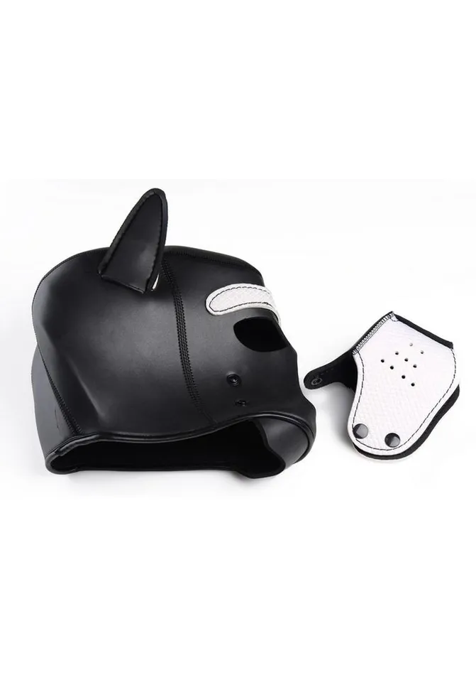 Male Sex Toys Master Series Master Series Neoprene Puppy Hood